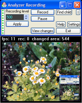 Analyzer Recording - AVI recorder, Capturing an image from any window